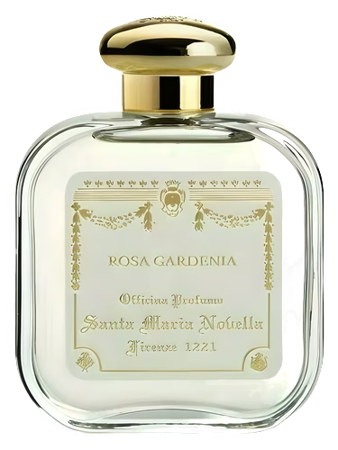 Rosa Gardenia