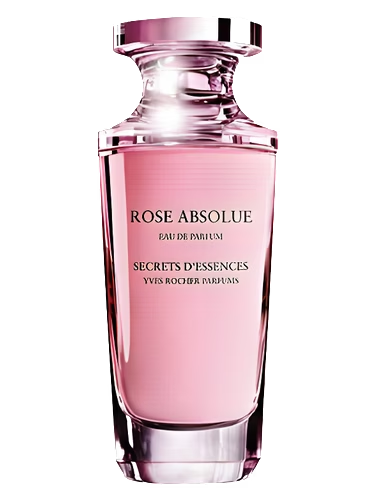 Rose Absolue