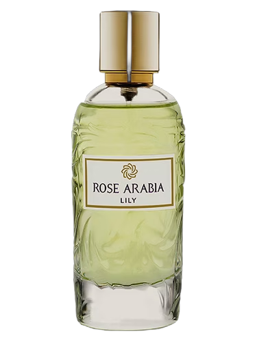 Rose Arabia Lily