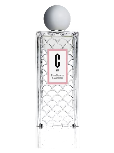 Rose Blanche & Gardénia