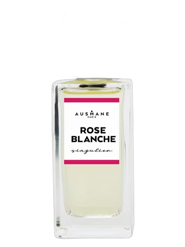 Rose Blanche