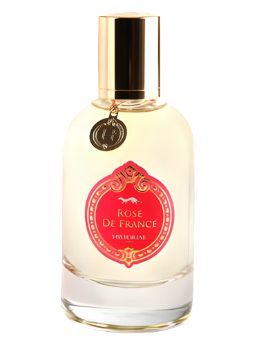 Rose de France