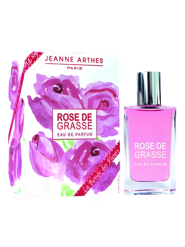 Rose de Grasse