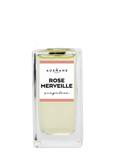 Rose Merveille