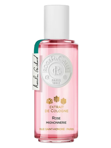 Rose Mignonnerie