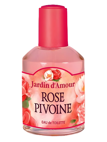 Rose Pivoine
