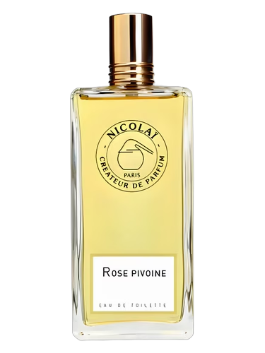 Rose Pivoine