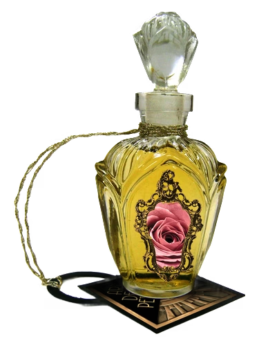 Rose-Rose