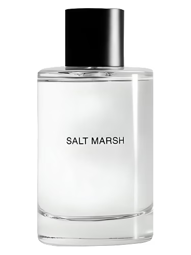 Salt March