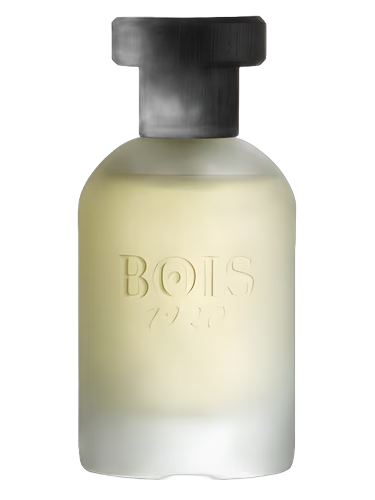 Sandalo e The by Bois 1920