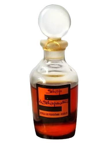 Schiap