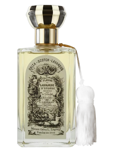 Scotch Lavender