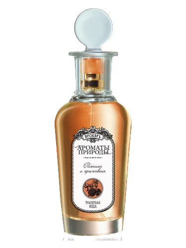 Облепиха и крыжовник - Sea buckthorn and Gooseberry