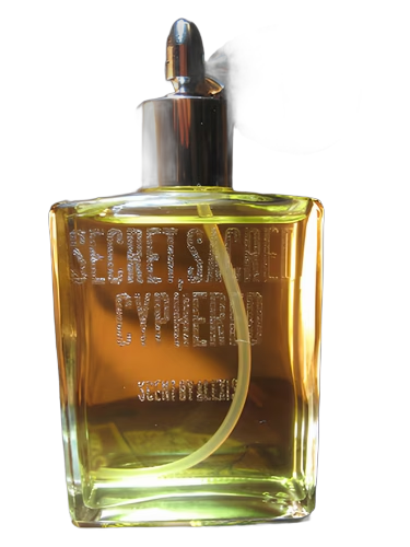 Secret, Sacred, Cyphered