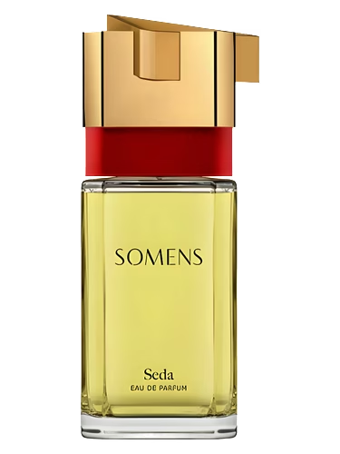 Seda