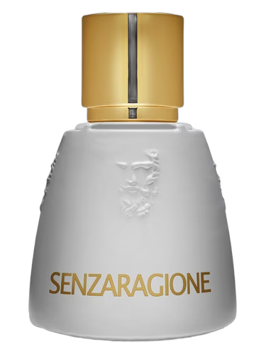 Senzaragione