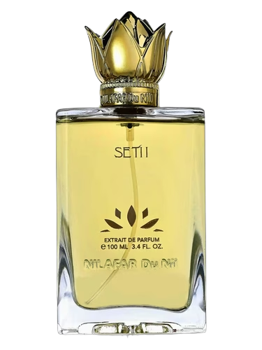 SETI I