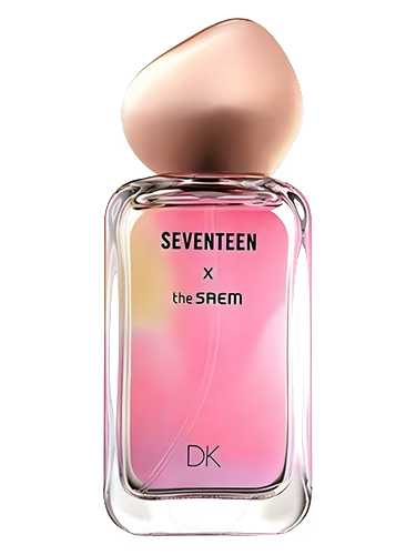 Seventeen X DK