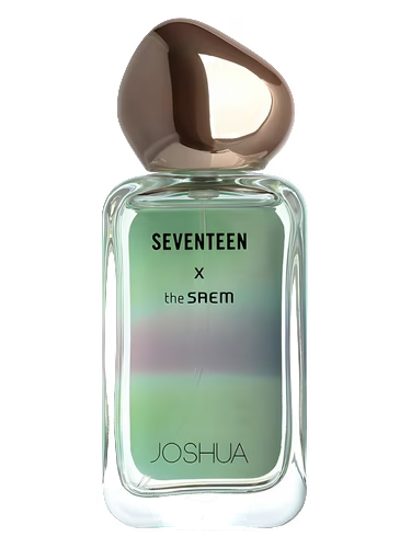 Seventeen X Joshua