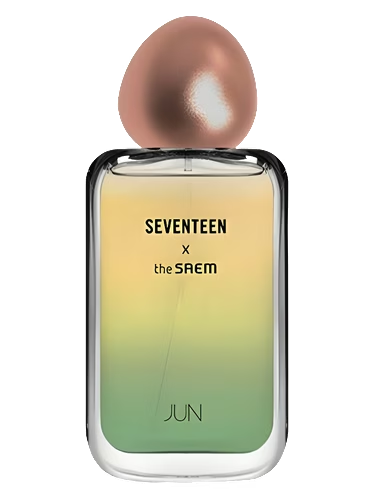 Seventeen X Jun