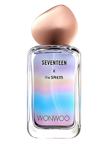 Seventeen X Wonwoo