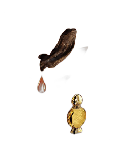 Shatha Al Oudh