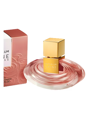 Shine My Rose