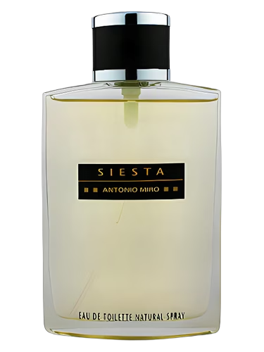 Siesta