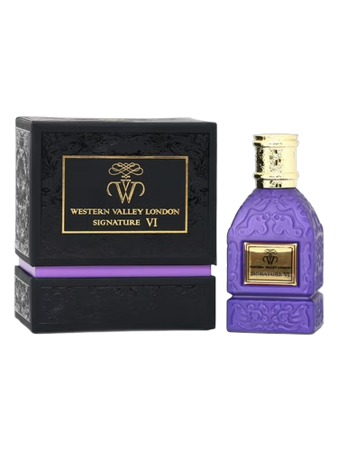 Signature VI