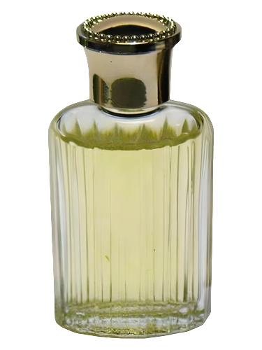Signoricci 2
