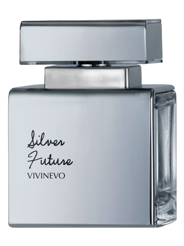 Silver Future