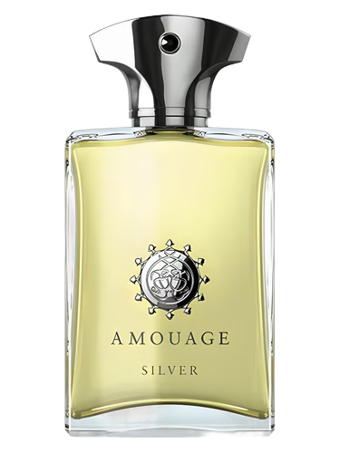 Silver Man