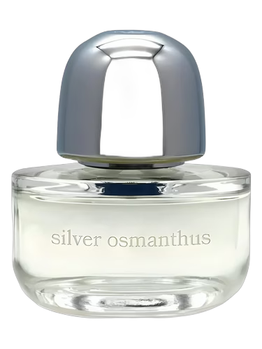 Silver Osmanthus