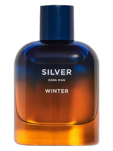 Silver Winter Zara Man