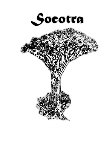 Socotra