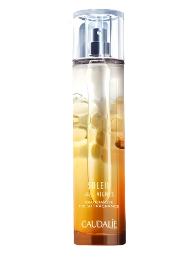 Soleil des Vignes