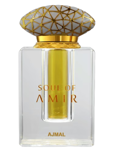 Soul Of Amir
