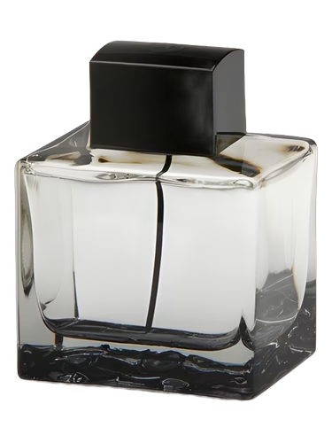 Splash Seduction In Black