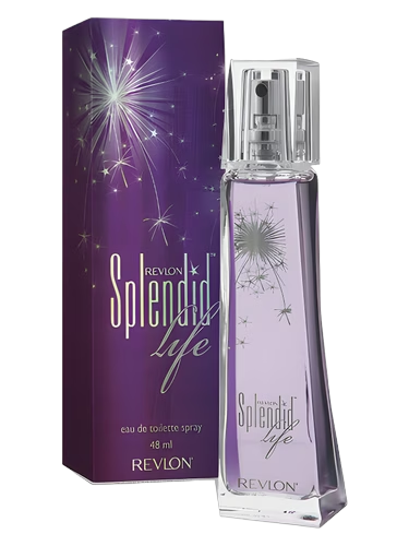 Splendid Life