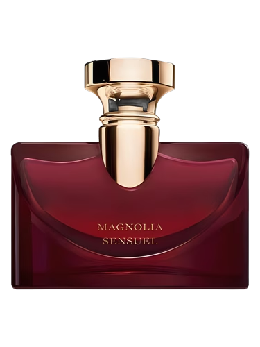 Splendida Magnolia Sensuel