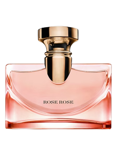 Splendida Rose Rose