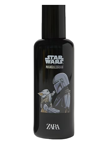 Star Wars The Mandalorian
