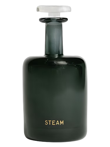 Steam
