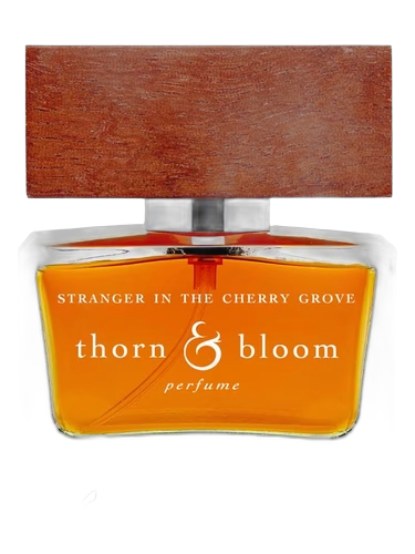 Stranger in the Cherry Grove