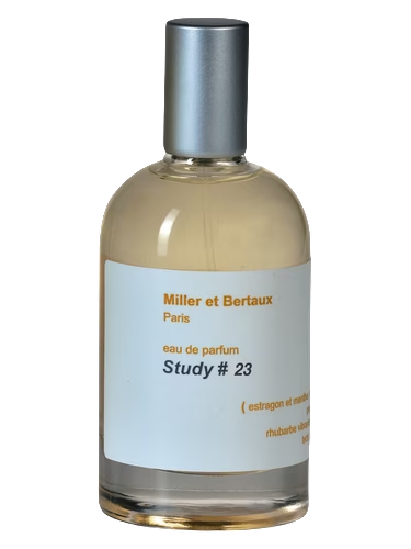 Study No. 23 / Newsletter