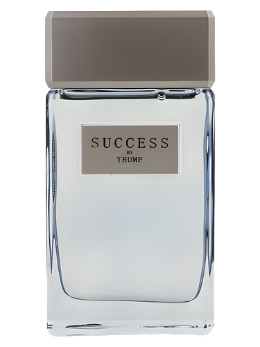 Success