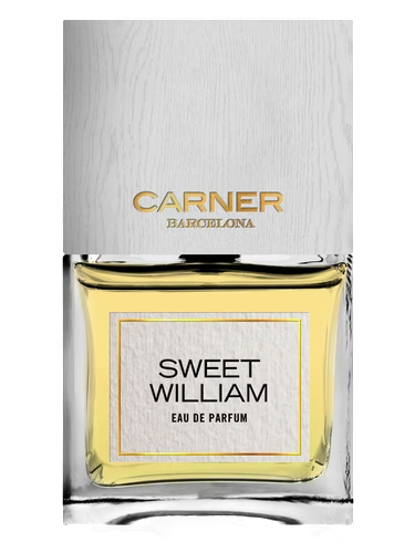 Sweet William