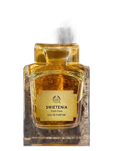 Swietenia
