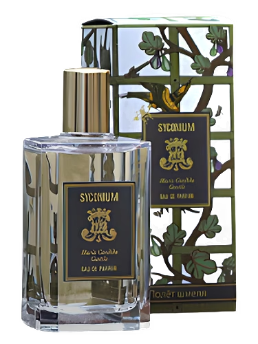 Syconium