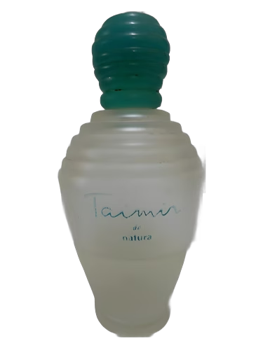 Taimir